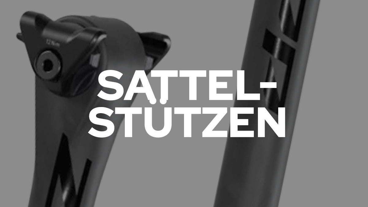 Image for Sattelstützen